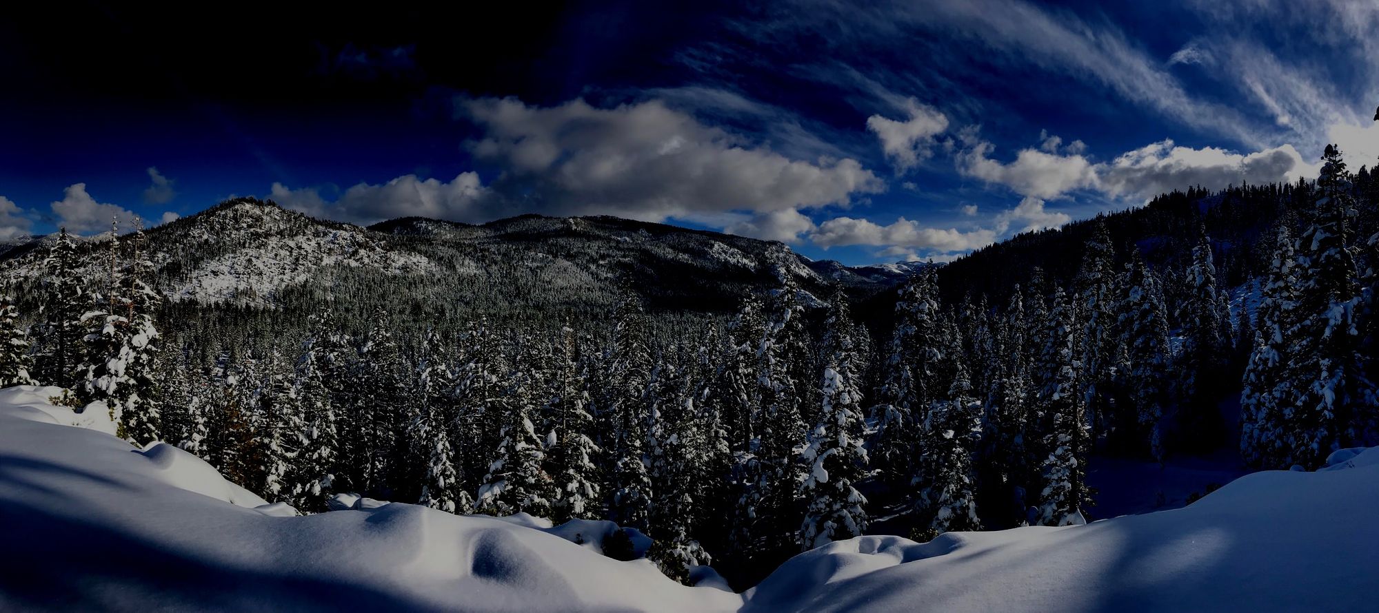 AAWoO Adventures LLC